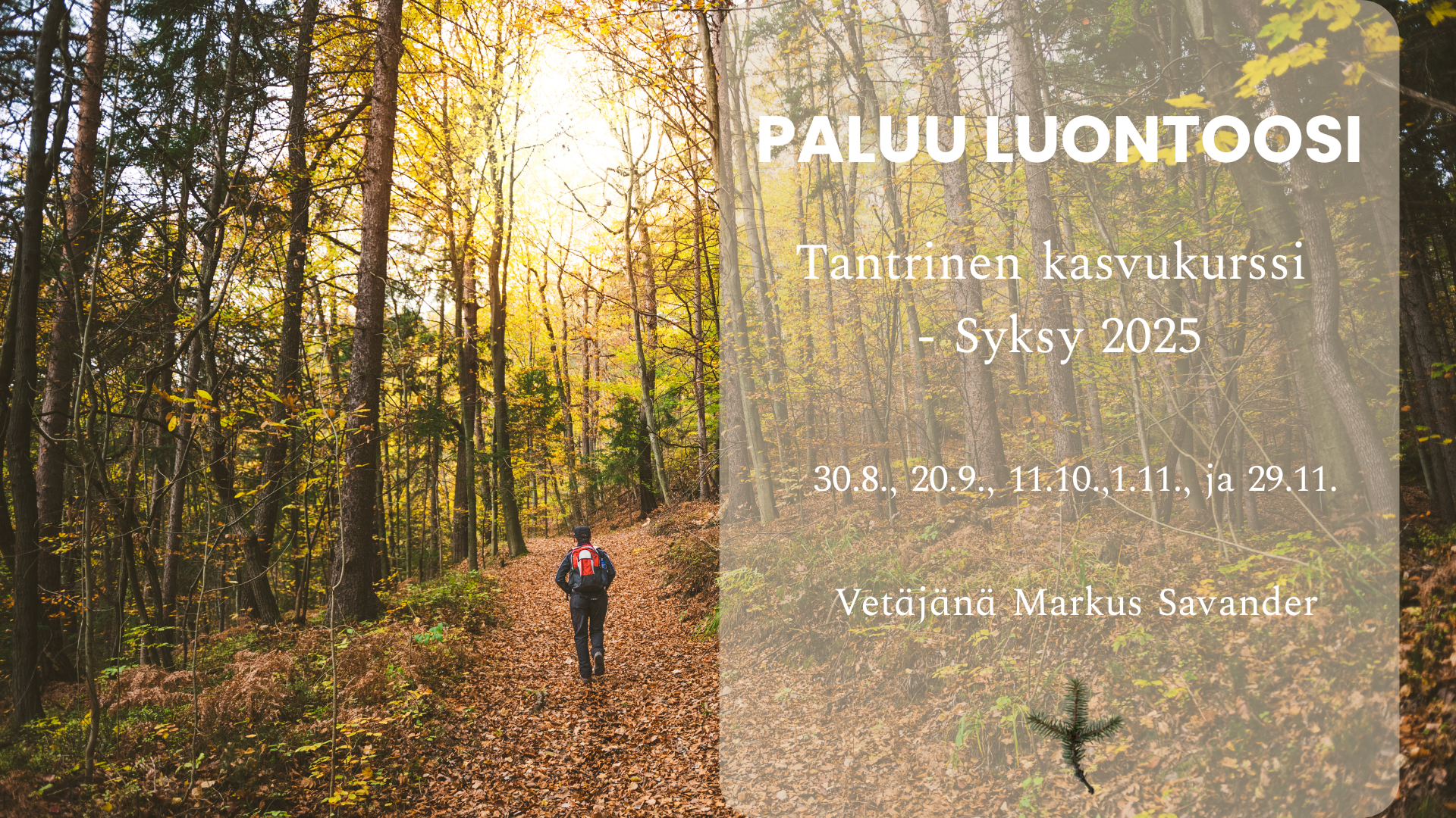 PALUU LUONTOOSI -tantrinen kasvukurssi Tampereella 30.8.-29.11.
